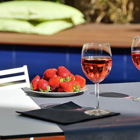 L'hotel Particulier 4* Beziers